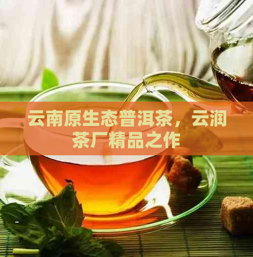 云南原生态普洱茶，云润茶厂精品之作