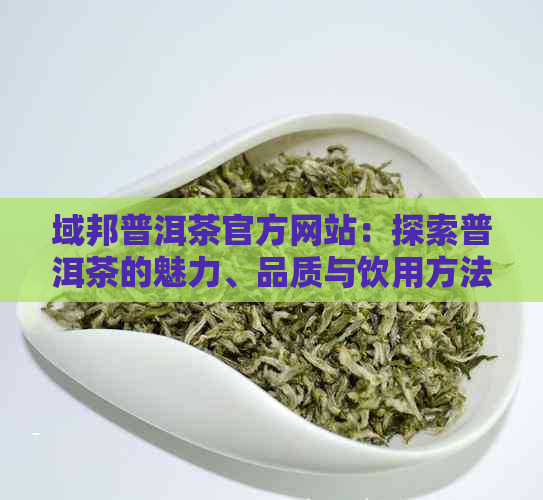 域邦普洱茶官方网站：探索普洱茶的魅力、品质与饮用方法，解答您的所有疑问