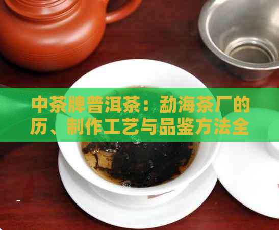 中茶牌普洱茶：勐海茶厂的历、制作工艺与品鉴方法全面解析