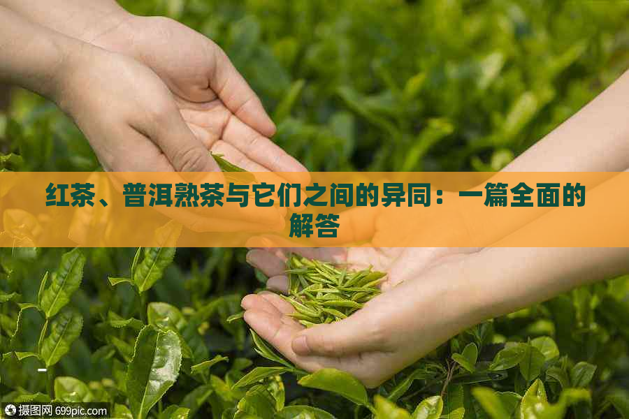 红茶、普洱熟茶与它们之间的异同：一篇全面的解答