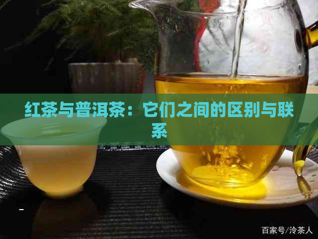 红茶与普洱茶：它们之间的区别与联系