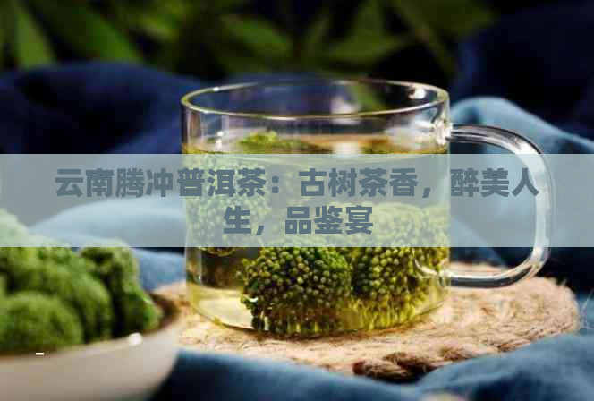 云南腾冲普洱茶：古树茶香，醉美人生，品鉴宴