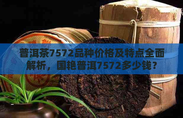 普洱茶7572品种价格及特点全面解析，国艳普洱7572多少钱？