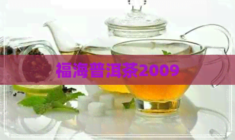 福海普洱茶2009