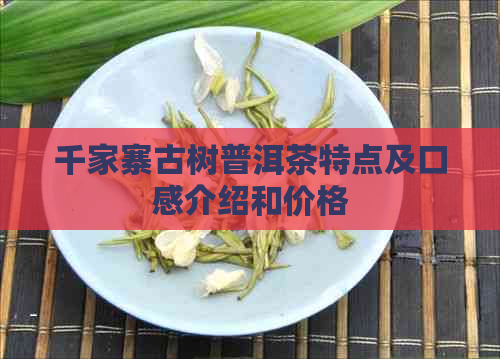 千家寨古树普洱茶特点及口感介绍和价格