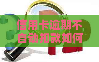 信用卡逾期不自动扣款如何解决？办理流程及注意事项一文详解