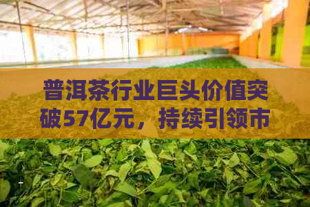 普洱茶行业巨头价值突破57亿元，持续引领市场潮流