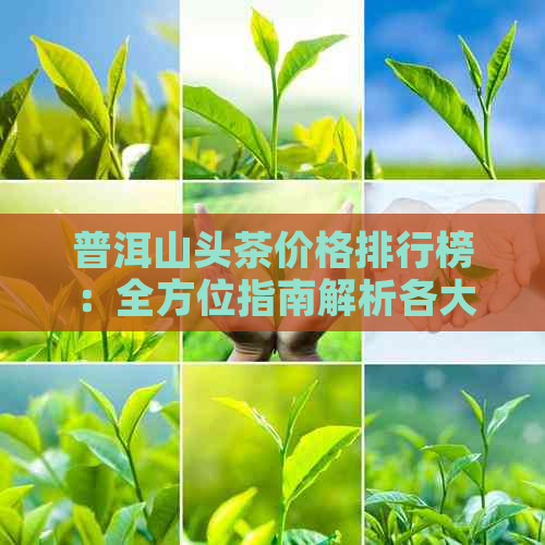 普洱山头茶价格排行榜：全方位指南解析各大茶区茶叶价格及品质对比