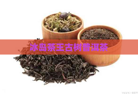 冰岛茶王古树普洱茶