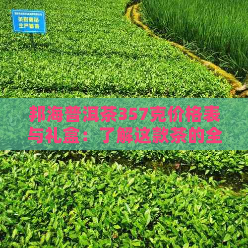 邦海普洱茶357克价格表与礼盒：了解这款茶的全部价值