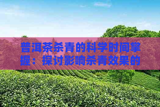 普洱茶杀青的科学时间掌握：探讨影响杀青效果的因素及操作方法