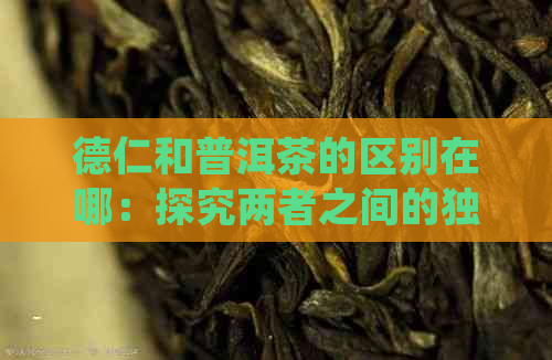 德仁和普洱茶的区别在哪：探究两者之间的独特之处