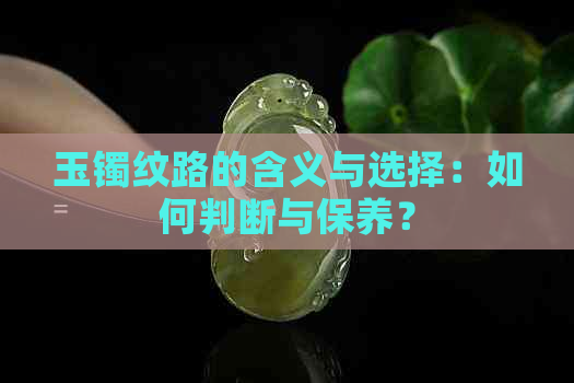 玉镯纹路的含义与选择：如何判断与保养？