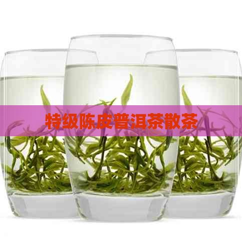 特级陈皮普洱茶散茶