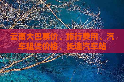 云南大巴票价、旅行费用、汽车租赁价格、长途汽车站