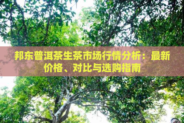 邦东普洱茶生茶市场行情分析：最新价格、对比与选购指南