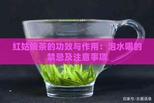 红姑娘茶的功效与作用：泡水喝的禁忌及注意事项