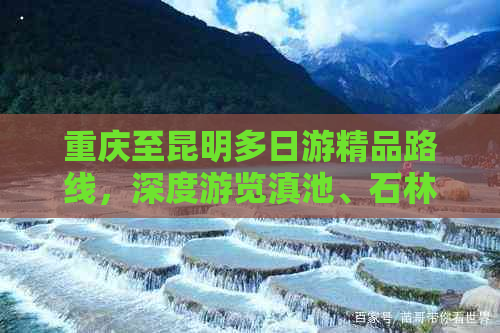 重庆至昆明多日游精品路线，深度游览滇池、石林等自然奇观与人文胜景