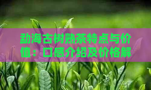 勐海古树熟茶特点与价值：口感介绍及价格解析