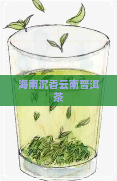 海南沉香云南普洱茶