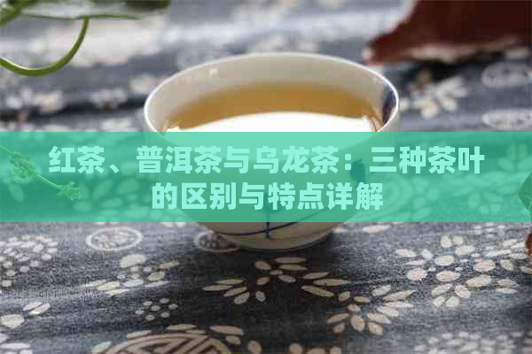 红茶、普洱茶与乌龙茶：三种茶叶的区别与特点详解