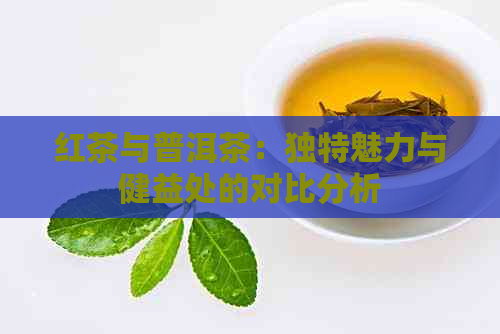 红茶与普洱茶：独特魅力与健益处的对比分析