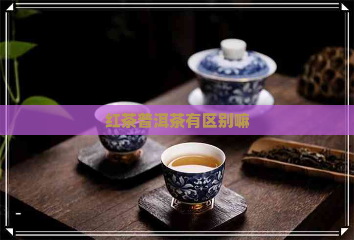 红茶普洱茶有区别嘛