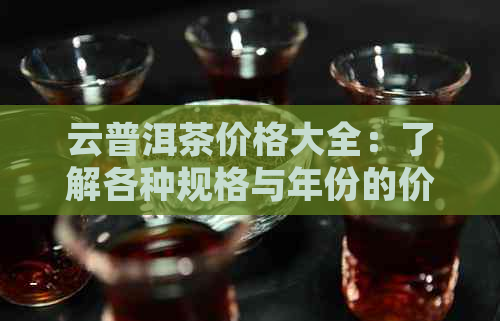 云普洱茶价格大全：了解各种规格与年份的价格差异，轻松选购心仪茶叶