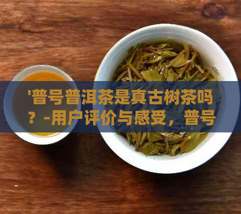 '普号普洱茶是真古树茶吗？-用户评价与感受，普号普洱茶品质如何？'