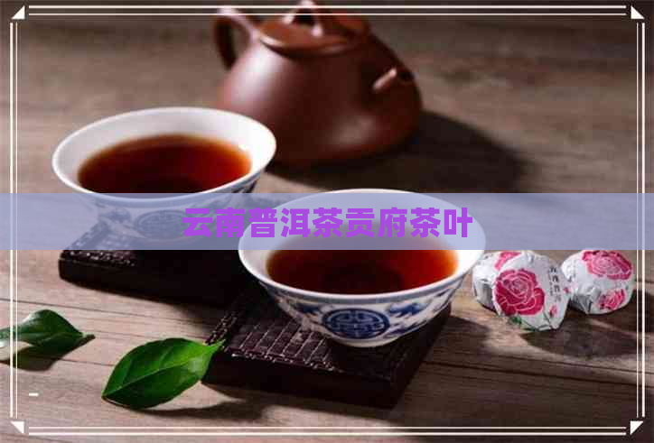 云南普洱茶贡府茶叶