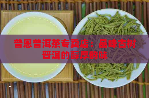 普恩普洱茶专卖店：品味古树普洱的醇厚韵味