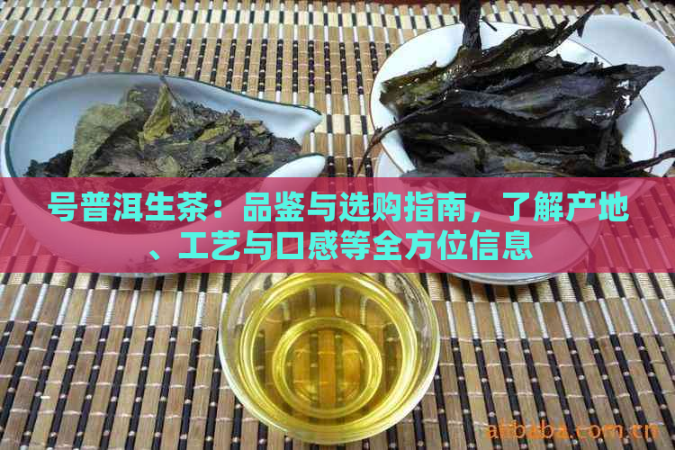 号普洱生茶：品鉴与选购指南，了解产地、工艺与口感等全方位信息