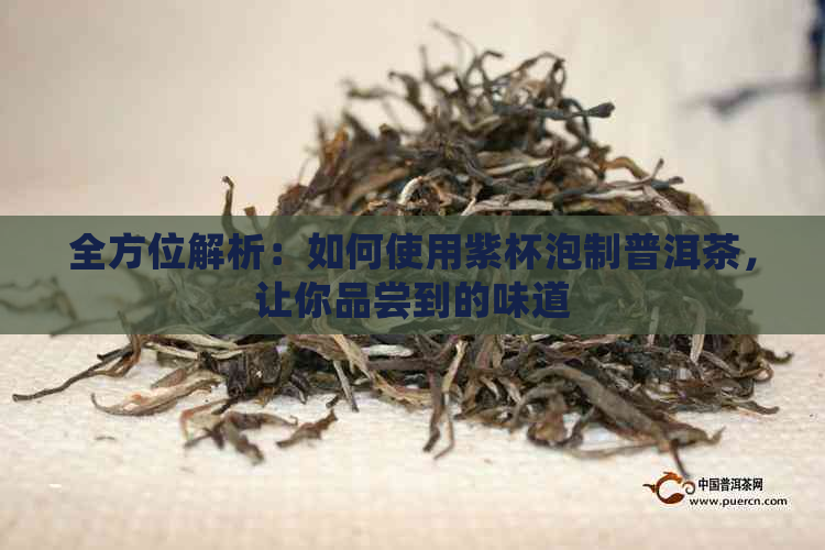 全方位解析：如何使用紫杯泡制普洱茶，让你品尝到的味道