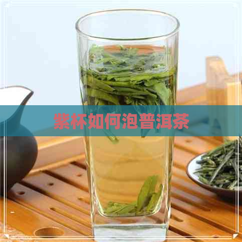 紫杯如何泡普洱茶