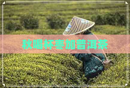 秋喝杯枣加普洱茶