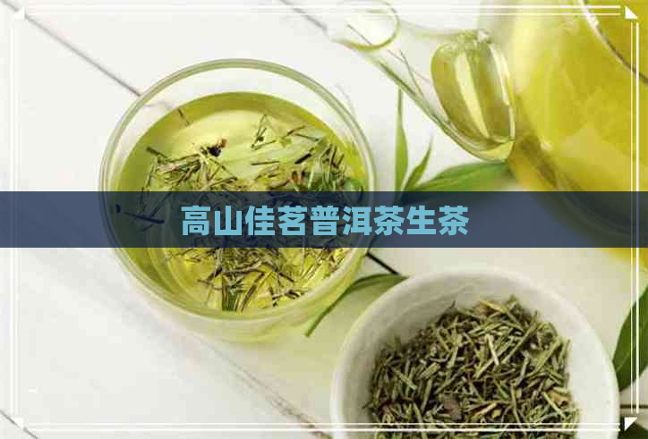 高山佳茗普洱茶生茶