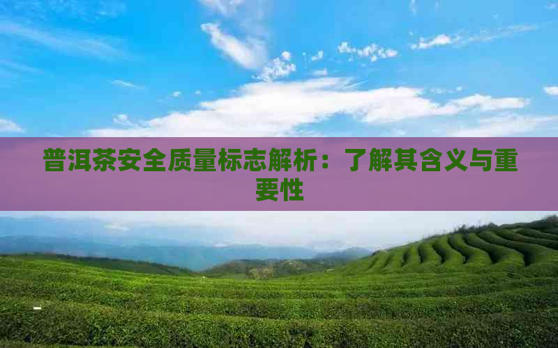 普洱茶安全质量标志解析：了解其含义与重要性