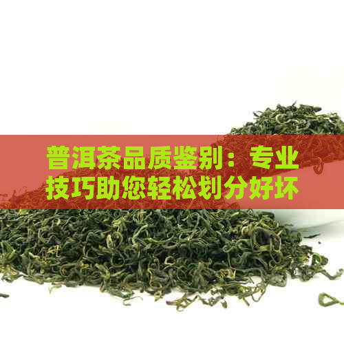 普洱茶品质鉴别：专业技巧助您轻松划分好坏