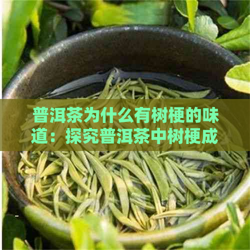 普洱茶为什么有树梗的味道：探究普洱茶中树梗成分的原因及影响