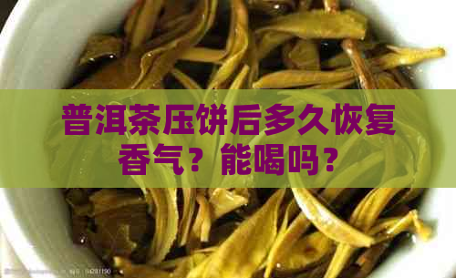 普洱茶压饼后多久恢复香气？能喝吗？