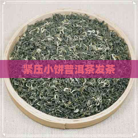 紧压小饼普洱茶发茶