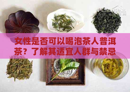 女性是否可以喝泡茶人普洱茶？了解其适宜人群与禁忌，让你喝得更放心