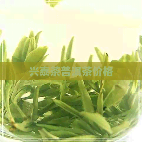 兴泰茶普洱茶价格