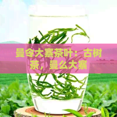 曼令大寨茶叶：古树茶，曼么大寨