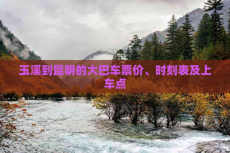 玉溪到昆明的大巴车票价、时刻表及上车点