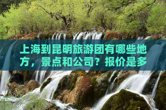 上海到昆明旅游团有哪些地方，景点和公司？报价是多少？