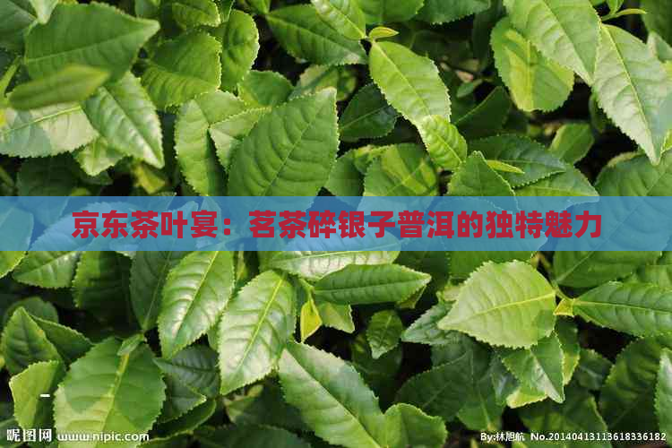 京东茶叶宴：茗茶碎银子普洱的独特魅力