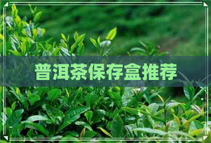 普洱茶保存盒推荐