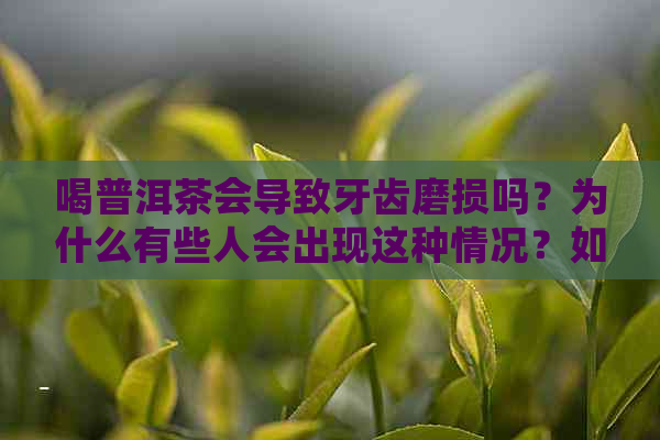 喝普洱茶会导致牙齿磨损吗？为什么有些人会出现这种情况？如何预防和改善？