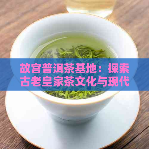 故宫普洱茶基地：探索古老皇家茶文化与现代科技的融合